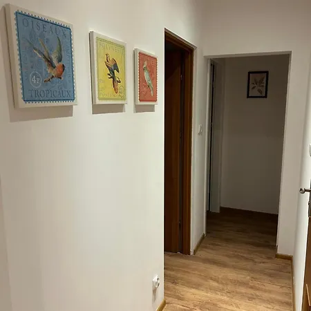 Rumiankowa Homestay